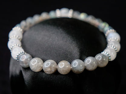 Eevee — Shiny Edition