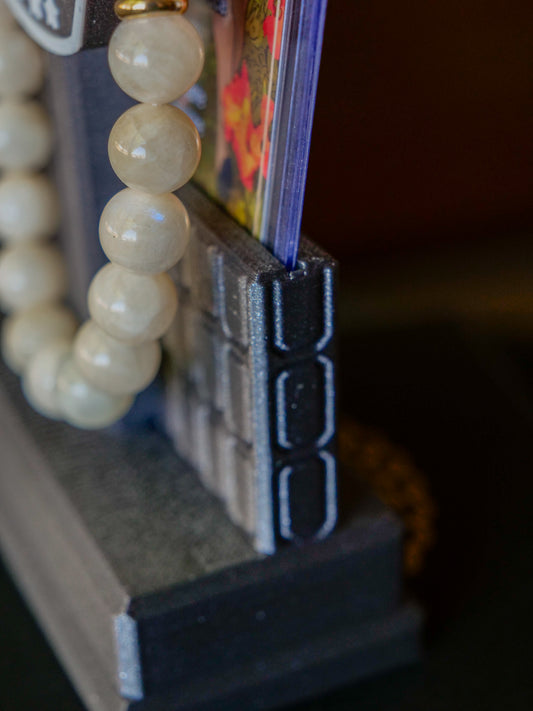 Collector’s Display Stand